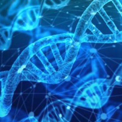 Genetics